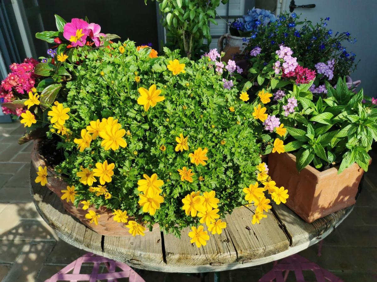 Bed and Breakfast Le Logge Ritrovate Acquasparta Exterior foto