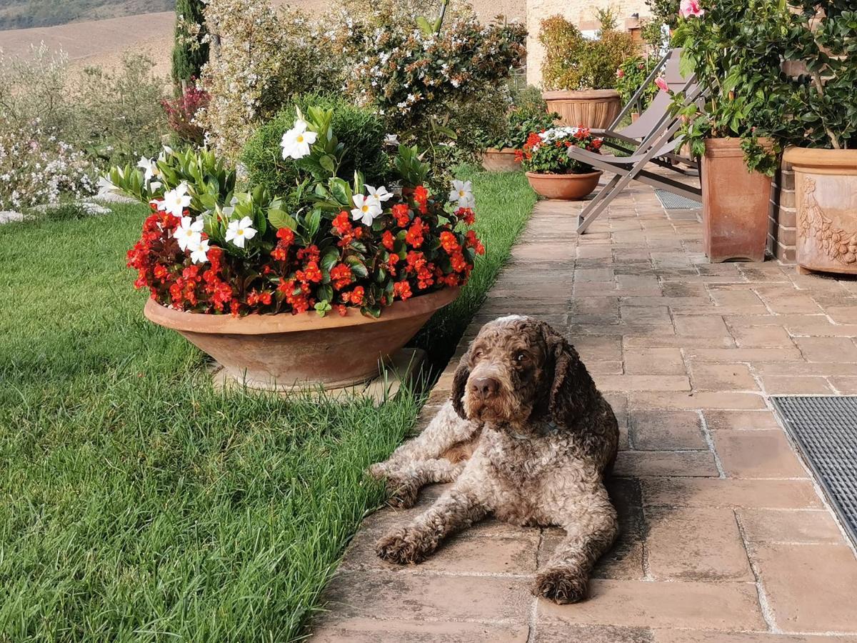 Bed and Breakfast Le Logge Ritrovate Acquasparta Exterior foto